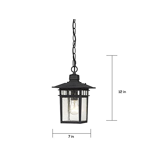 Nuvo Lighting Traditional Hanging Lantern - Black