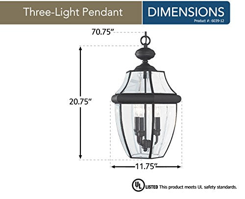 Lancaster 3-Light Outdoor Pendant - Black
