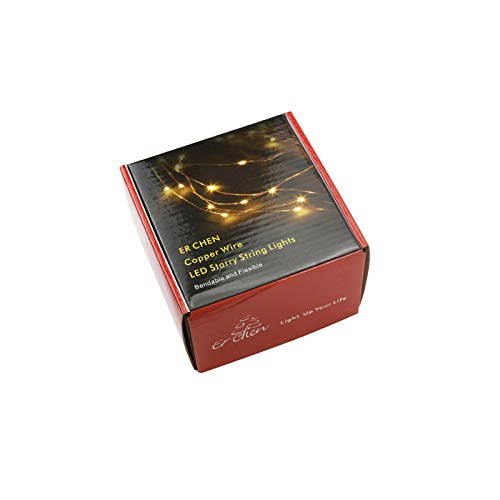 Silver Copper Wire LED String Lights - 33FT 100 LEDs Warm White