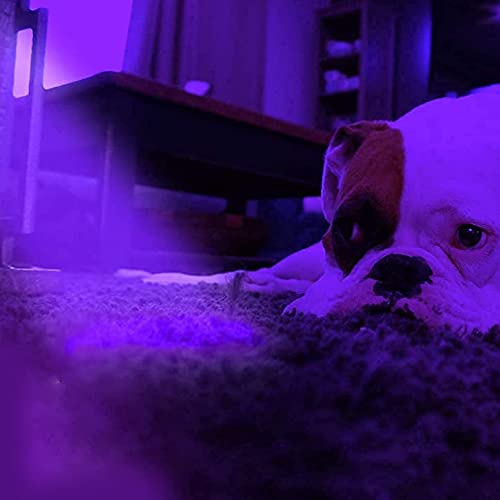 66FT 200LED UV String Lights - Waterproof, Remote Timer