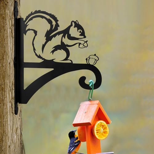 Hanging Plant Bracket - 11" Iron Squirrel Wall Mount