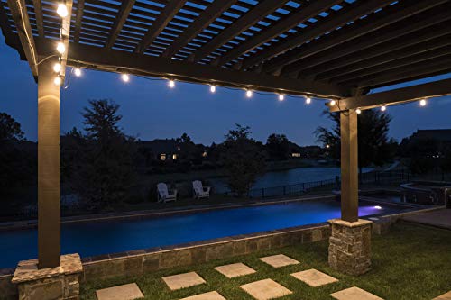 Enbrighten LED Bistro String Lights 24ft - Warm White, Shatter Resistant