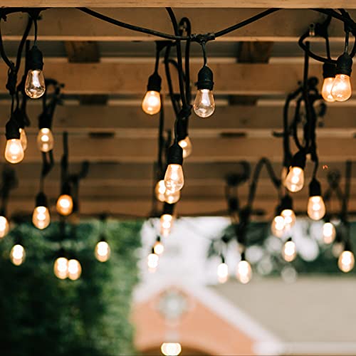 Philips 15 Clear Incandescent Edison Bulbs
