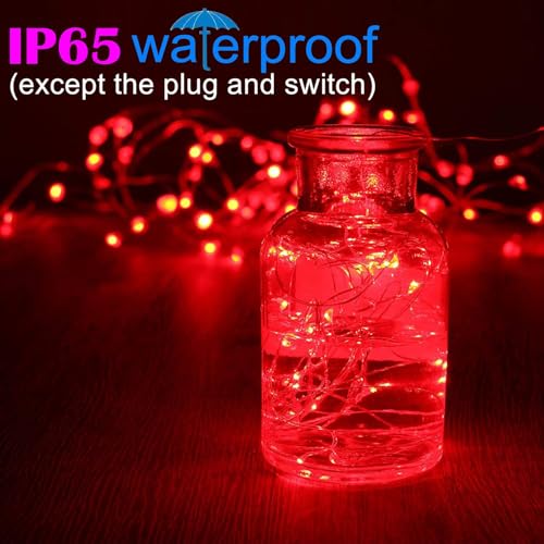 Fairy Lights 33 Ft 100 LED Copper Wire - Red