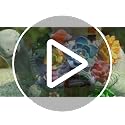 Solar Garden Turtle Decor Light
