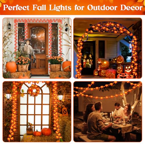 Fall Solar String Lights - Outdoor Thanksgiving Decoration
