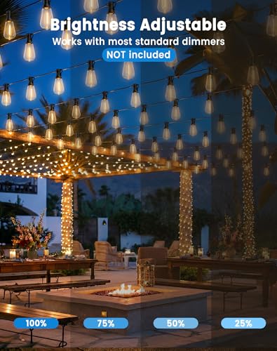 60FT String Lights - Warm White ST38 Edison Bulbs, Waterproof, Connectable