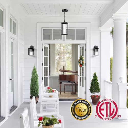Modern Black Outdoor Pendant Light - Large