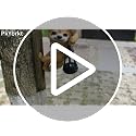 Sloth Garden Statue - Solar Light, Waterproof Outdoor Decoration