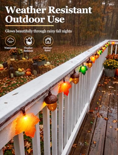 Fall Maple Leaf Lights - 12FT 20 LED Thanksgiving Decor