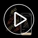 Twinkly Strings 250 White LED - 65ft Smart Christmas Lights, App Control