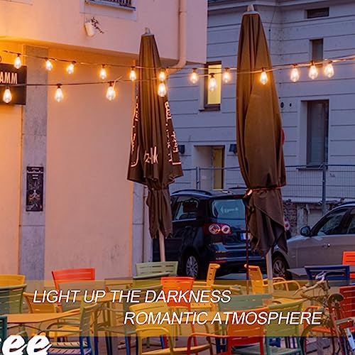 ST40 LED String Lights - 20FT, 22 Clear Bulbs, Warm White, Brown Wire