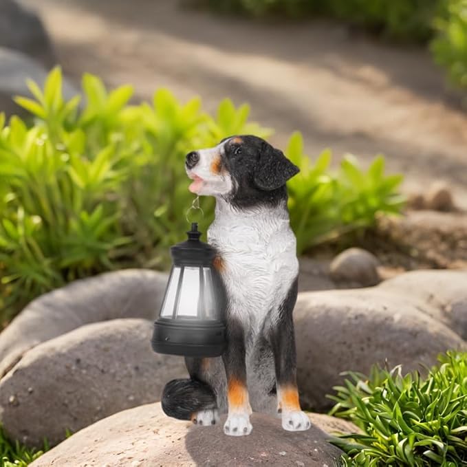 Solar Garden Dog Statue with Lanterns Outdoor Bernese Mountain Dog Garden Decor Figurine Lights for Patio Balcony Shelf Tabletop Lawn, Unique Housewarming Birthday Thanksgiving Gifts for Women Mom