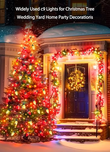 50FT C9 Christmas Lights - Green Wire, Red & Warm White