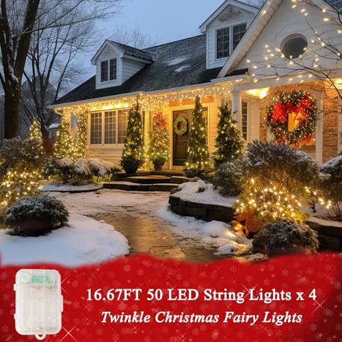 Pooqla RGB String Lights - 4x50 LED, Battery Powered, Remote