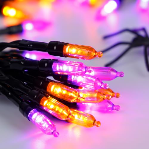 30 LED Battery Halloween String Lights - Orange Purple
