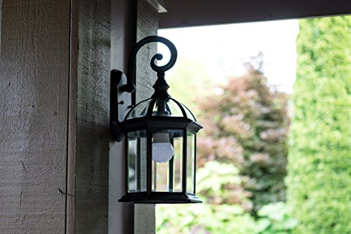 Trans Globe Wentworth 8" Outdoor Wall Lantern - Rust, LED Compatible, Dimmable