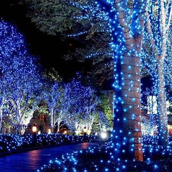 Christmas String Lights - 100 Count Incandescent, 21.6ft, Blue