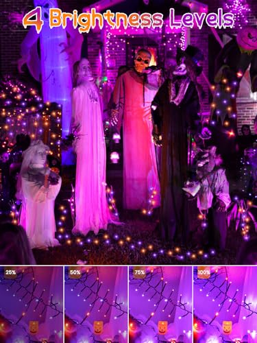 Halloween String Lights - 25FT 500 LED Orange Purple