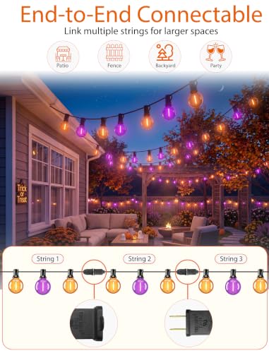 Abeja Halloween G40 LED String Light - Orange Purple