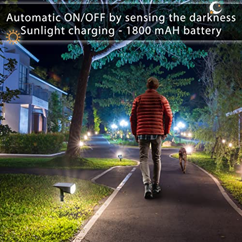 Moss & Stone Solar Landscape Spotlight Outdoor