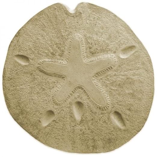 Sand Dollar Stepping Stone Mold ***NOT A Finished Stone***
