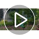 Solar Rain Gauge with Dragonfly Design