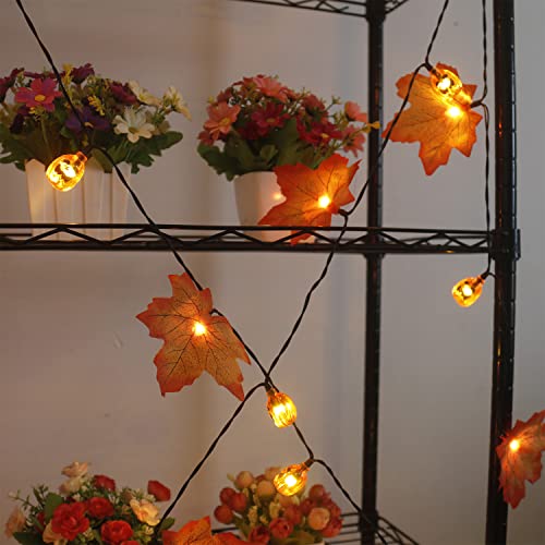 Fall Solar Pumpkin String Lights - 50LED 30ft Waterproof