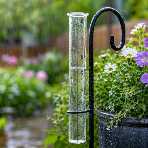 SPI Home- San Pacific Intl Rain Gauge Glass Replacement (Tall)