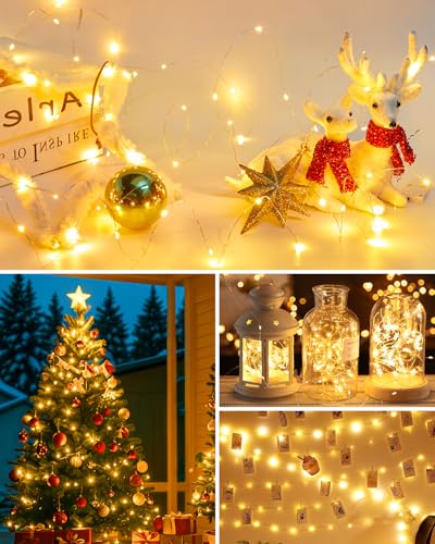 Copper Wire Fairy Lights - Waterproof Plug-in with Remote