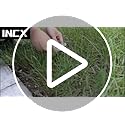 Solar Ground Lights - Warm White, 4.6", Waterproof, 12-Pack