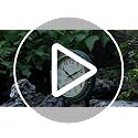 OCEST 16 Inch Waterproof Outdoor Wall Clock, Thermometer Hygrometer