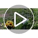 Solar Cross Light - Waterproof Rose Flower Memorial