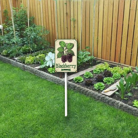 Uptell Vintage Aluminum BlackBerry Fruit Signs Yard Sign with Stake for Garden Fruit Garden Label Stakes Plant Markers for Outdoor Plants Waterproof 7x8.8 inch