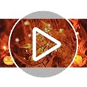 Halloween String Lights - 200 LED Orange 66ft Outdoor