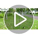Decorative Solar Butterfly Garden Stake Light