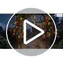 Multicolor Chili Pepper String Lights - 13.6Ft, 35 LED