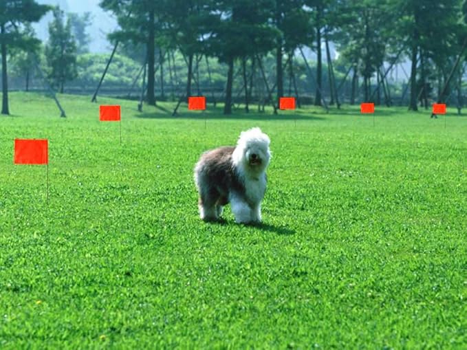 Purple 4x5 Inch Marker Flags, 100 Pack | Boundary, Dog Training, Invisible Fence, Yard/Lawn/Survey/Landscape/Sprinkler Flags
