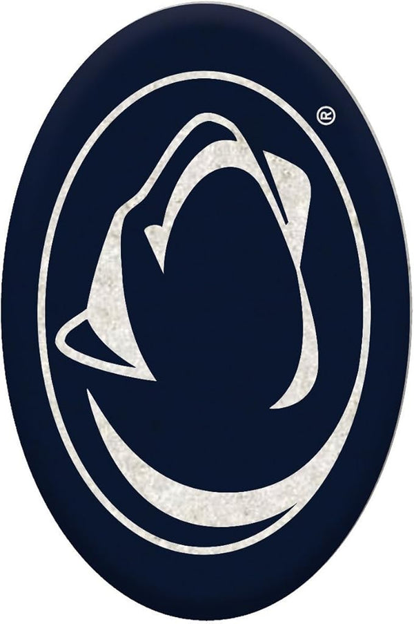 Team Sports America NCAA Your Team Rocks Team Logo Garden Rock