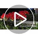 Solar Flower Lights - Pink, 4-Pack, Waterproof