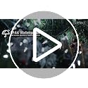 Christmas String Lights - Warm White 33ft 100 LED