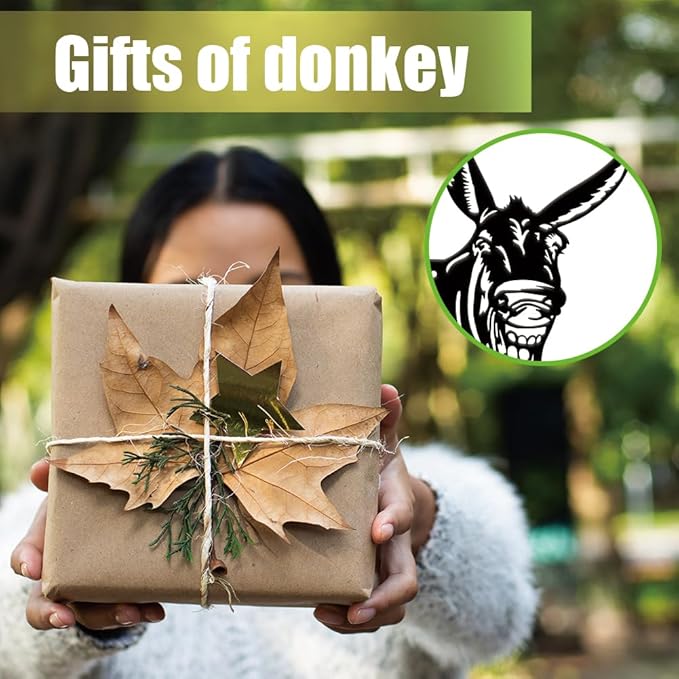 SUPERDANT 4PCS Metal Funny Donkey Garden Decor for Outside Animal Yard Stakes for Decorations Outdoor Statues Iron Art Stake Decorative Silhouette Lawn Ornament Patio Porch Farmhouse Decoration Gifts