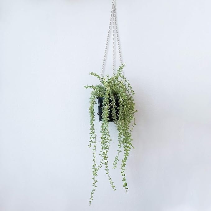 Hotop 8 Pcs Metal Hanging Chains with Ceiling Hooks, Garden Plant Hangers for Hanging Bird Feeders, Billboards, Chalkboards, Basket, Planters, Lanterns, Wind Chimes, Chain Hook DIY(16.38 Inch,Silver)
