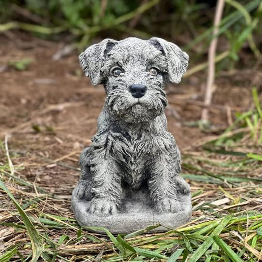 Puppy Schnauzer Statue Mini Schnauzer Gifts Stone Dog Statue Sitting Schnauzer Figurine Gift for a Dog Lover Concrete Garden Figure Outdoor