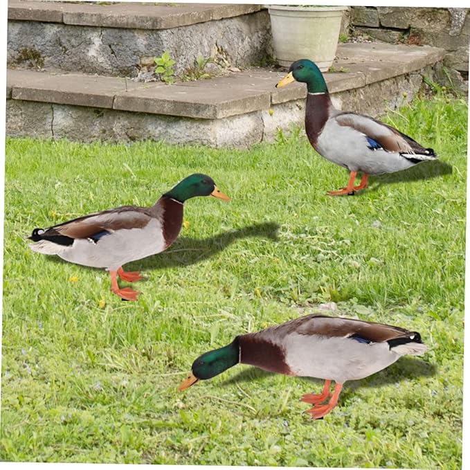 YARNOW 3pcs Acrylic Garden Stake Decor Charming Outdoor Lawn Insert Dusk Pattern for Vibrant Garden Art and Landscape Design