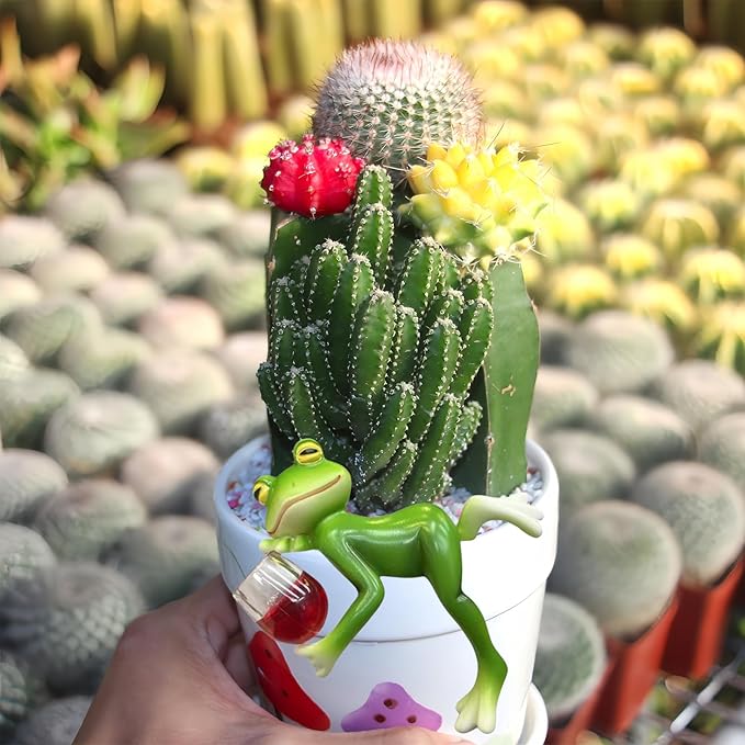 Miniature Frog Figurines Plant Decorations for Pots, Funny Drinking Frog Statue Flower Pot Hugger Resin Hanging Figurine Planter Pot Decorations for Flower, Lawn, Yard Ornament