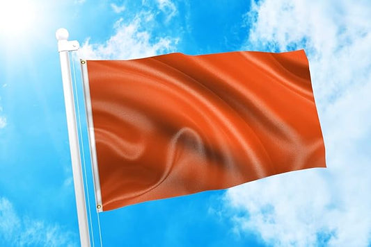 DMSE Solid Orange Flag, 3x5 Flag, UV Resistant, Fade Resistant Material with Metal Grommets (3ft x 5ft), (Nylon), (Orange)