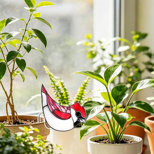 Hummingbird Gifts for Women Mom Grandma, Hanging Planter for Indoor Outdoor Garden, Bird Lover Plant Decor, Mothers Day Birthday Gifts from Daughter Son(5)