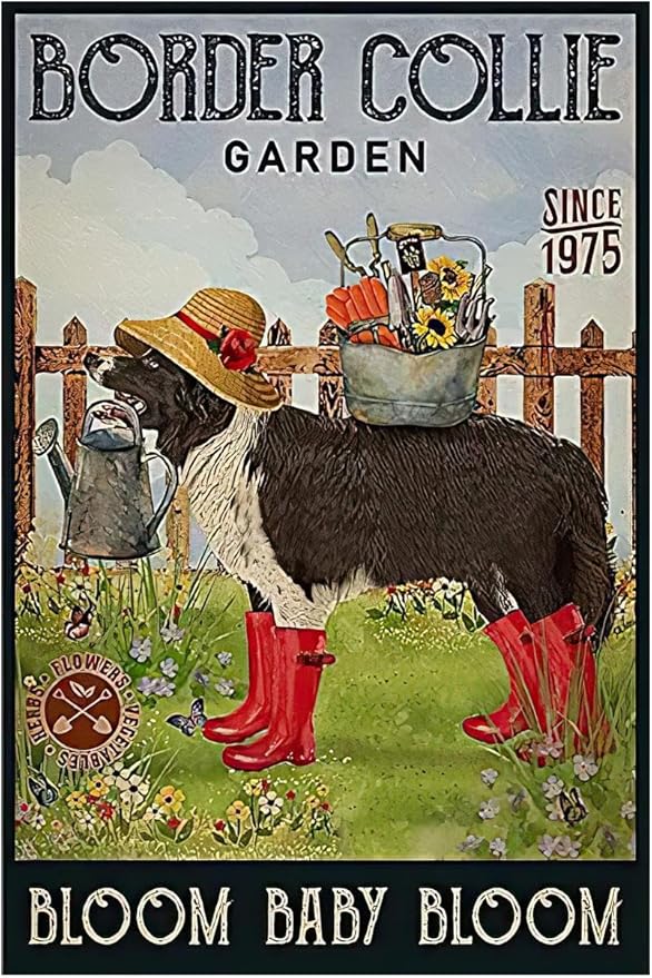 Funny Flowers Metal Poster, Dog Country Rustic Tin Sign, Border Collie Garden Bloom Baby Bloom, Yard Farm Outside Wall Decor Plaque Outdoor for Home Fence 8 X 12 Inch