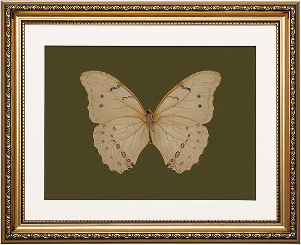 ARPEOTCY Vintage Gold Framed Wall Art, 13x16 inch Classical White Butterfly Paintings, Dark Moody Green Canvas Prints Artwork with Antique Picture Frame, Victorian Wall Decor for Gallery Living Room